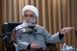 عضو شورای نگهبان:  عزت اسلام در اجرای بی‌کم‌وکاست احکام الهی است