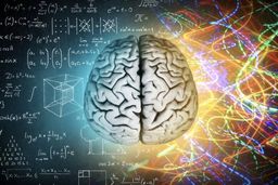 با این روش‌ها عملکرد مغزتان را بهبود دهید 