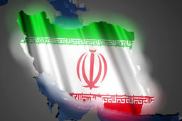 سیاست داخلی در کما؟!