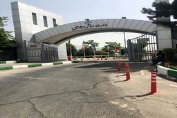 قدردانی وزارت ورزش از مدال‌آوران مسابقات آسیایی اسکیت