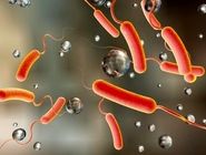 هشدار درباره شیوع سه ویروس در کشور 