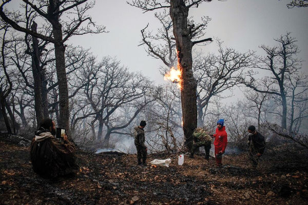 بالگردها دیر رسیدند، جنگل بیابان شد/گزارش میدانی از آتش‏‌سوزی جنگل‏‌های الیت چالوس که در صورت گسترده‌‏تر شدن موجب تخلیه دو روستا خواهد شد