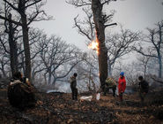 بالگردها دیر رسیدند، جنگل بیابان شد/گزارش میدانی از آتش‏‌سوزی جنگل‏‌های الیت چالوس که در صورت گسترده‌‏تر شدن موجب تخلیه دو روستا خواهد شد