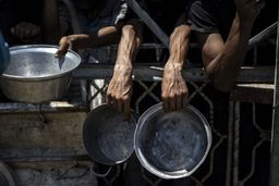 گرسنگی و فریب