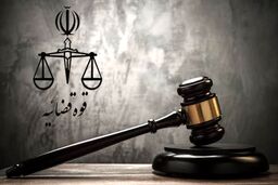 دستور رئیس سازمان بازرسی درباره آتش‌سوزی جنگل‌های چالوس