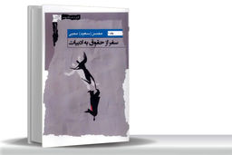 تلاقی هنر و قانون/نگاهی به سفر از دنیای حقوق به ادبیات به قلم محسن محبی