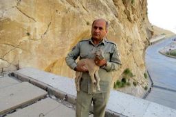 شهادت یک محیط‌بان در درگیری با شکارچیان غیرمجاز