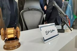 بیش از ۱۳ هزار سکه ضرب امسال فروخته شد