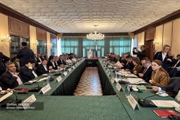 لزوم رفع موانع ساختاری و تسریع در اجرای توافق‌های ایران و روسیه