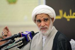 نماینده مجلس خبرگان: 96 درصد آزادی‌خواهان از رژیم صهیونیستی نفرت دارند