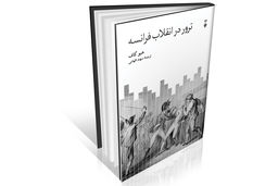 تک‏‌نگاری خشونت انقلابی