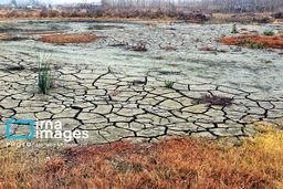 نابودی تالاب تا سال 1440/کارشناسان و کنشگران محیط‏زیست از آخرین وضعیت تالاب انزلی می‏‌گویند