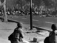 خون، جنون و بی‌اعتمادی/چرا مردم آمار رسمی شهیدان 17 شهریور را  باور نکردند؟ 