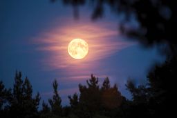 دوست دارم طناب ماهو بگیرم/درباره عکسی از ابر ماه