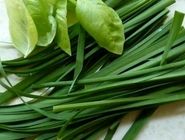 مصرف تره برای دیابتی‌ها ضرر دارد؟