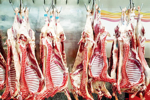 جهش قیمت کالاهای اساسی/روایت هم‏‌میهن از شرایط عرضه و رشد قیمت برخی اجناس در یک هفته گذشته