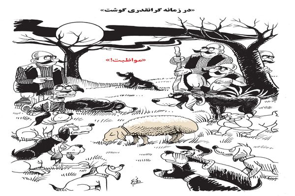 گرانقدری گوشت/ کاریکاتور احمد عربانی