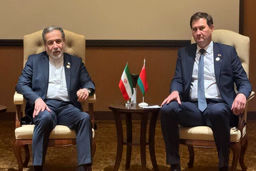 عراقچی: سوءاستفاده غرب از شورای امنیت، بخشی از فشار حداکثری علیه ملت ایران است