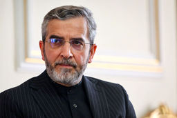 انتقاد از سکوت اروپا