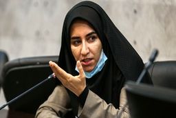 سارا فلاحی: هرجا سرداری به زمین افتاد، مزدور داخلی عامل آن بود