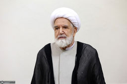 تماس تلفنی مهدی کروبی با سعید مدنی