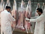 شرفی: ضبط فرآورده‌های ناسالم یک تعهد اخلاقی و انسانی است