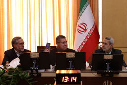 سفیر ونزوئلا: امنیت و آرامش در کشور برقرار است

