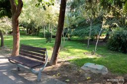 چمن سبز ، متهم به نابودی آب تهران