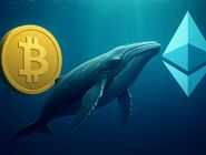 تاثیر نهنگ های بیت کوین بر بازار