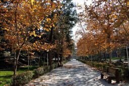 پیش‌بینی وضعیت آب‌وهوا؛ امروز یکشنبه 30 آذر 1404