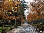 پیش‌بینی وضعیت آب‌وهوا؛ امروز دوشنبه اول دی 1404