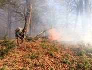 اولین تصاویر هوایی از آتش‌سوزی جنگل‌های گلستان