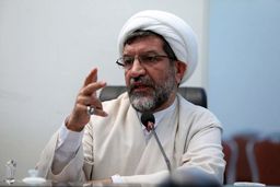 استاد حوزه: سیره امام حسن(ع) و امام رضا(ع) چراغ راه عصر غیبت کبری است