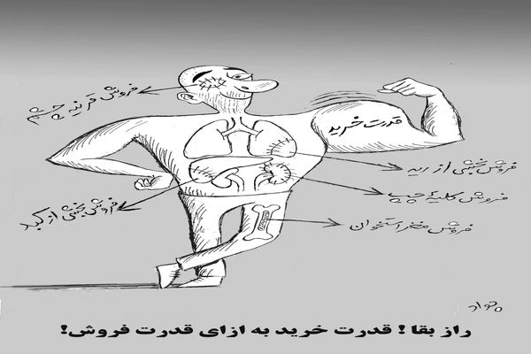 سمفونی خطوط