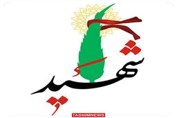 شهادت دو نیروی بسیجی در سراوان بر اثر حمله اشرار
