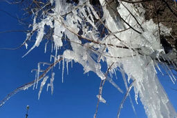 ماندگاری دمای سرد و یخبندان در تهران تا پایان هفته/ دمای توچال به ۲۷- رسید
