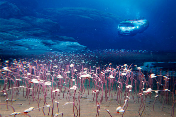 20 هزار فرسنگ یا 9 کیلومتر/درباره عکسی از اعماق دریا