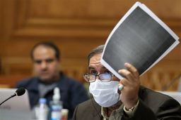 شهرداری تهران بیش از ۵ هزار درخت را خشک کرد 