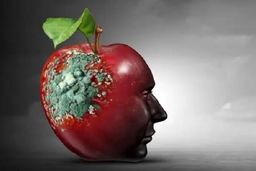 سکوت مغزها در هیاهوی دیجیتال