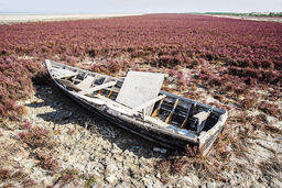 1405 ؛ سال سخت «شمال»/بررسی خشکسالی و کاهش بارش در استان‏‌های شمالی ایران که در سال آینده تشدید خواهد شد