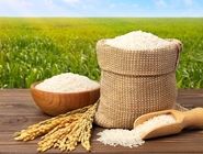 برنج هندی ارزان شد