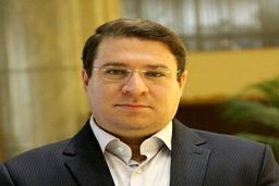 شورای اطلاع‌رسانی دولت به اظهارات  یک فرماندار درباره خبرنگاران واکنش نشان داد
