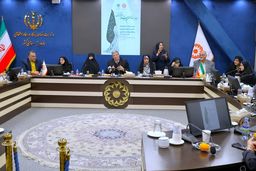 تأکید معاونت زنان بر افزایش انتصابات مدیریتی بانوان
