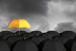 اعلام آمادگی صنعت بیمه برای جبران خسارت وارده بیمه گذاران در بندر شهید رجایی