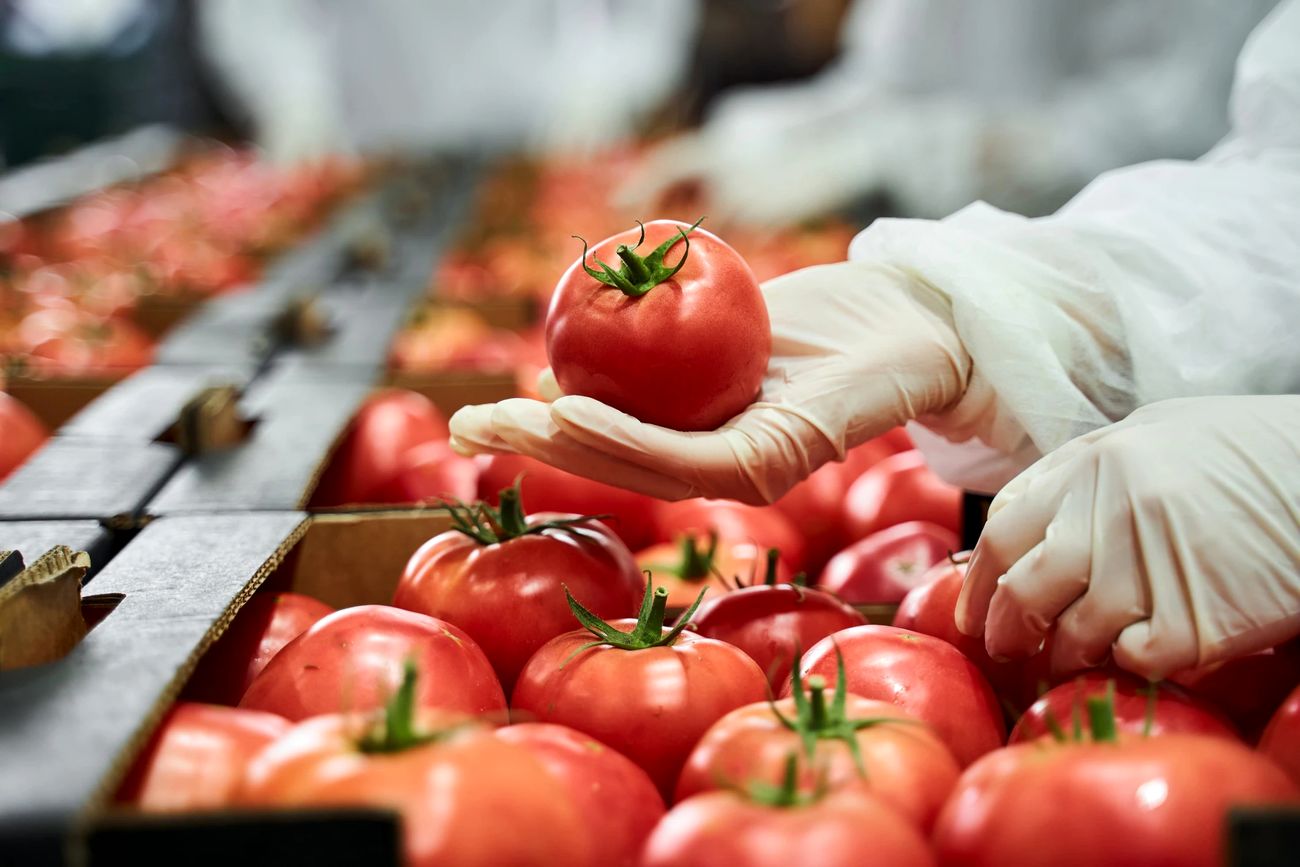 8 روش کنترل کیفیت ضروری برای صنایع غذایی