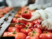 8 روش کنترل کیفیت ضروری برای صنایع غذایی