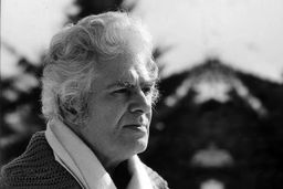 غیابش حضور قاطع اعجاز است/شاملو مدام تکثیر می‏‏‌شود و هرروز تثبیت