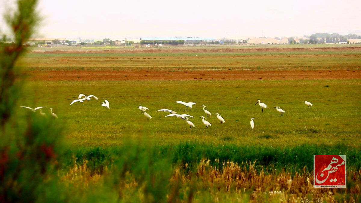 photo_3_2024-05-15_01-08-26