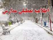 آموزش حضوری مدارس تعطیل شد
