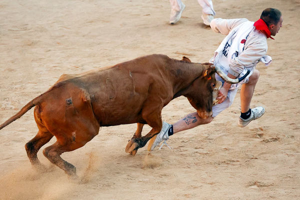 خلاف آدمیزادی/درباره عکسی از مراسم گاوبازی در اسپانیا
